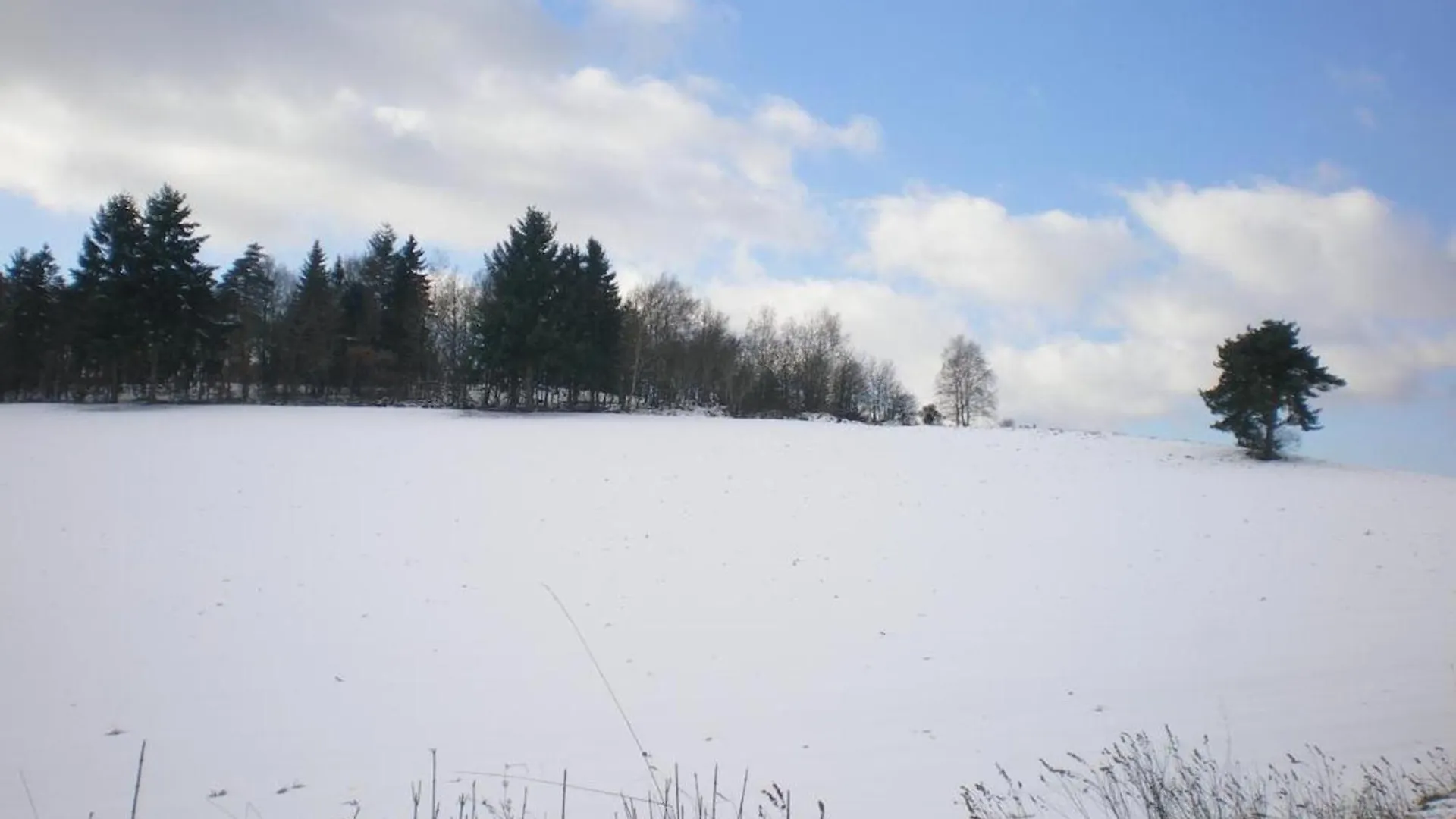 Maison Renovee, 2 Chambres, Jardin, Animaux Acceptes, Internet, Barbecue - Fr-1-496-161 Les Salles Semesterbostad